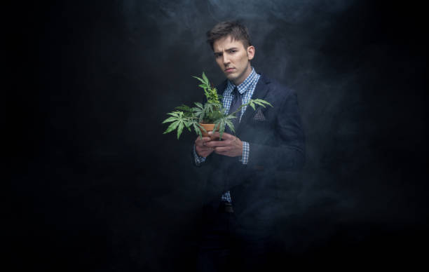 istock Well dressed businessman marijuana plant in dense smoke 950190538