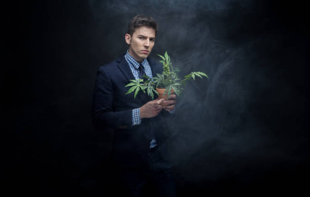 istock Well dressed businessman marijuana plant in dense smoke 950190540