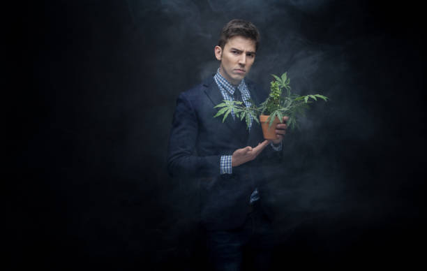 istock Well dressed businessman marijuana plant in dense smoke 950190594