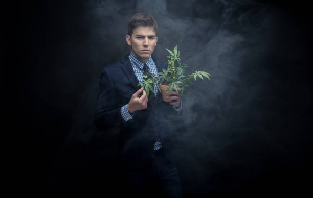 istock Well dressed businessman marijuana plant in dense smoke 950190642
