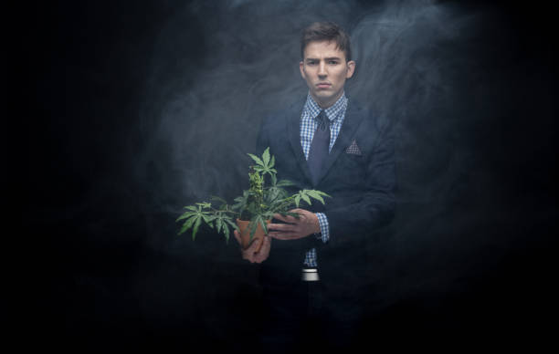 istock Well dressed businessman marijuana plant in dense smoke 950190646