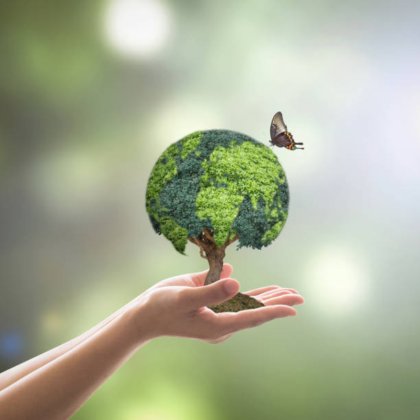 Green globe tree on volunteer's hand for sustainable environment and natural conservation  in CSR concept