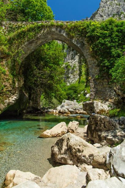istock The mountain river among high rocks and the ancient stone bridge 950200326