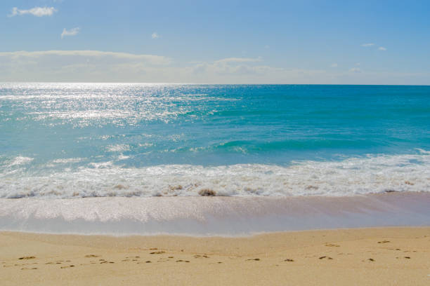 View of a beautiful empty beach in Mimizan, Aquitaine, France, seen from sand dunes.