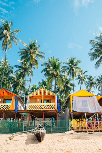 tropical palm trees and bungalow in palolem beach, goa, india - goa beach india green imagens e fotografias de stock