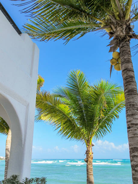 istock Colorful tropical beach house architecture in Caribbean 950225942