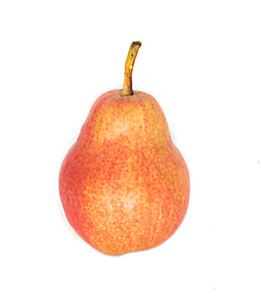 grand, beau, brillant, juteux, poire, fond blanc. isoler les poires mûres. - bartlett pear red pear two objects photos et images de collection