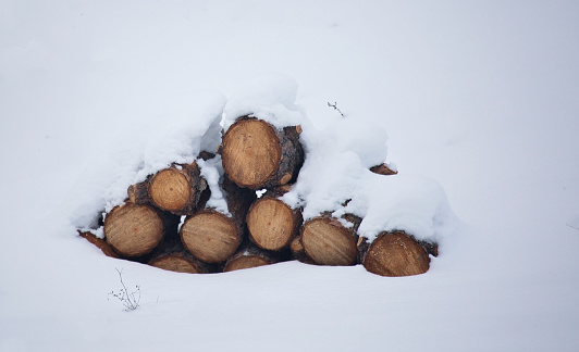 Snow Covered Fire Woodpile