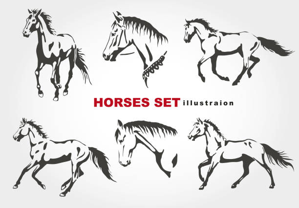 Horses. Horses. Vector set. mustang stock illustrations
