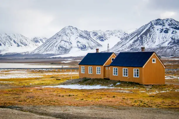 Yellow houses on yellow tundra grass with snowy mountains in the background, in Ny Alesund, Svalbard, Norwegian Arctic