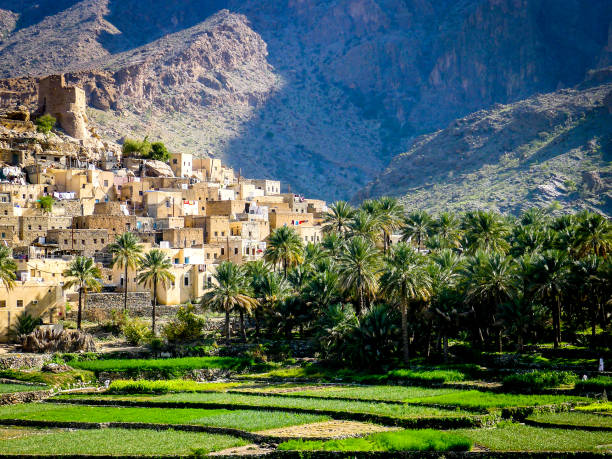 the beautiful mountain village of balad sayt sits in front of green fields in wadi bani awf, oman - leito de rio imagens e fotografias de stock