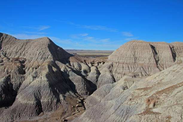 istock Badlands landscape with tree trunks in Petrified Forest National Park, USA 950250042