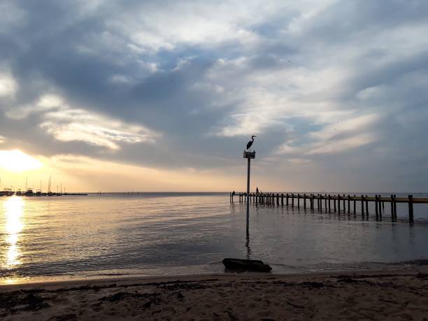 istock Sunset on Mobile Bay, Alabama Pier 950250636