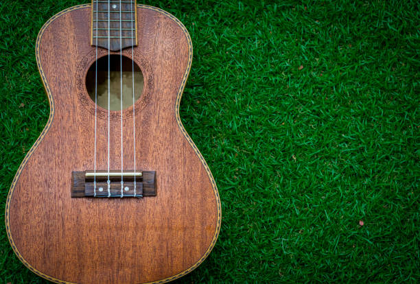 istock Wood ukulele body on green grass background. 950256768