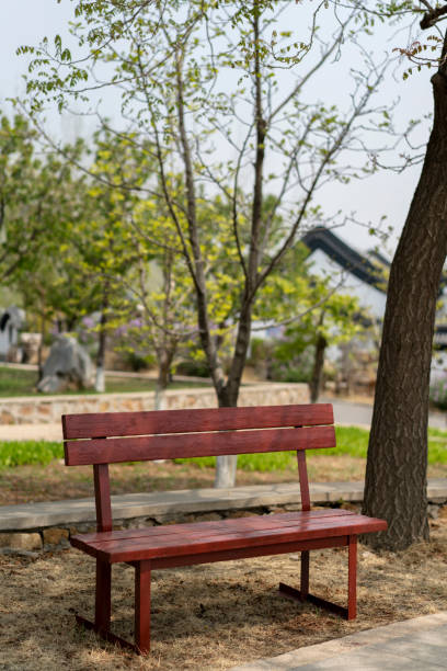 istock wooden chair in park 950259036
