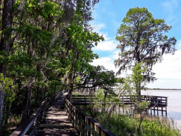 Historic Blakeley State Park Tensaw River Delta at Blakeley State Park in Spanish Fort, Alabama mobile bay stock pictures, royalty-free photos & images