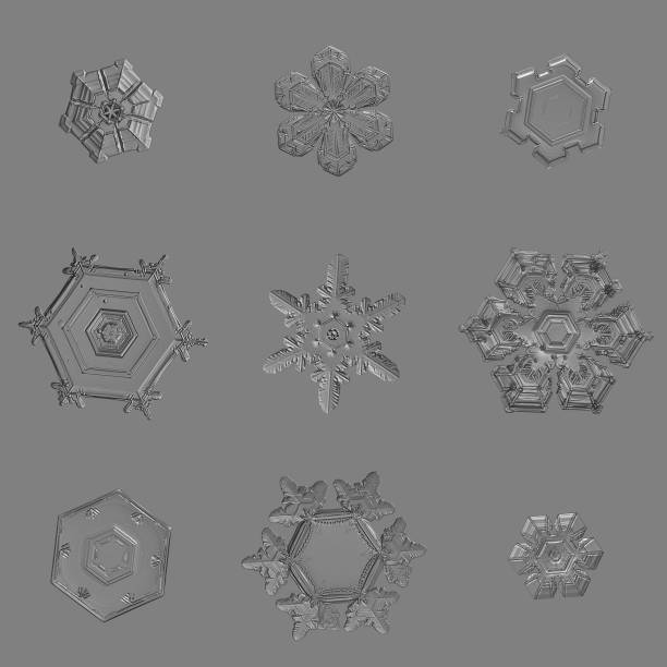 Nine snowflakes isolated on uniform gray background stock photo