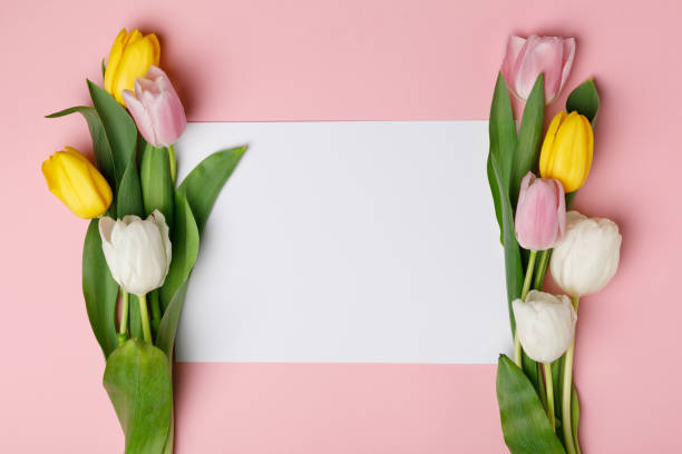 istock Colorful tulips with blank paper isolated on pink 950266176