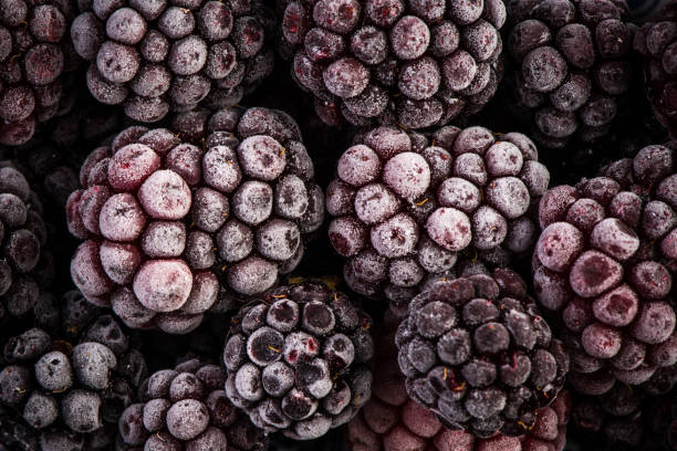 istock Frozen blackberry fruits, close up 950266754