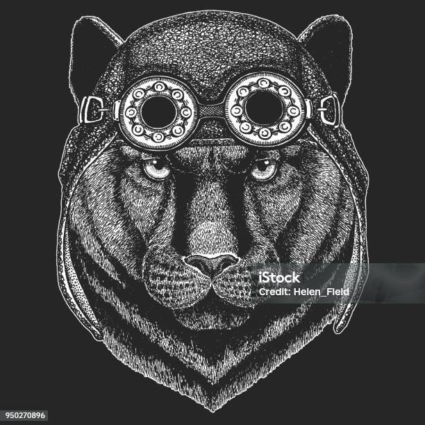 Panther Puma Cougar Wild Cat Hand Drawn Image For Tattoo Emblem Badge Logo Patch Tshirt Cool Animal Wearing Aviator Motorcycle Biker Helmet Stock Illustration - Download Image Now