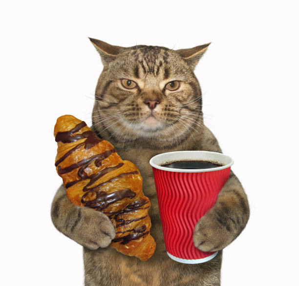 istock Cat with a chocolate bun and coffee 950274894