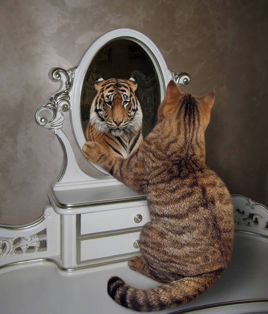 istock Cat looks in the mirror 950274896