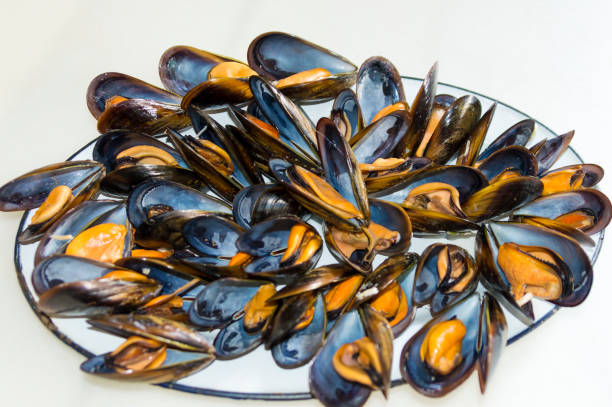istock Plate of steamed mussels. 950276312