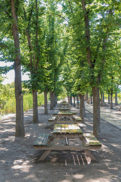 istock Wooden tables in Meridiano park (Castellon, Spain). 950279004