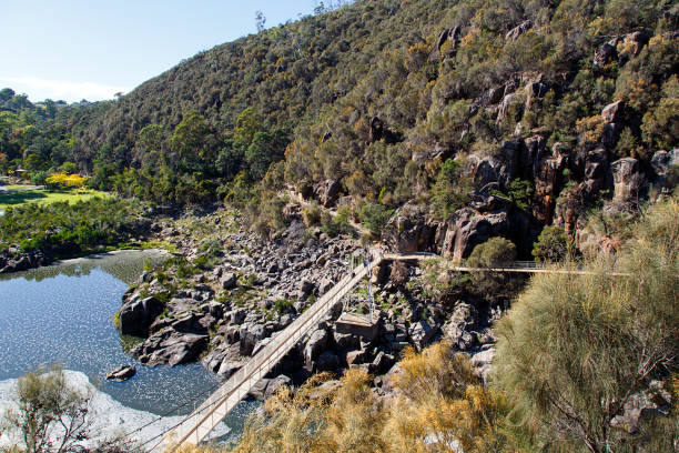 istock Cataract Gorge in Launceston, Tasmania 950279392