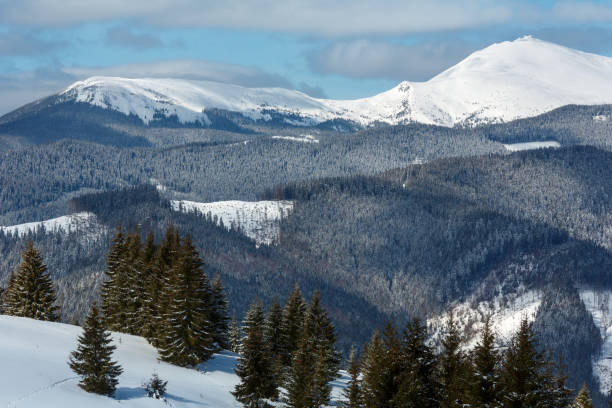 istock Winter snowy Carpathian mountains, Ukraine 950287192