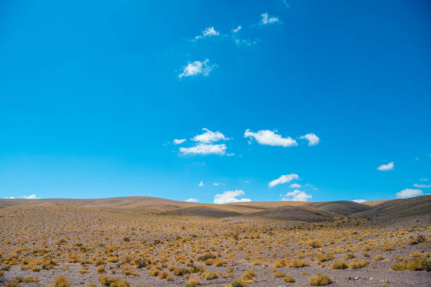 Rio Grande - Atacama desert - valley and mountains