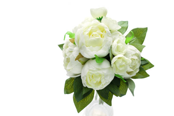 istock peony flowers isolated on white 950289148