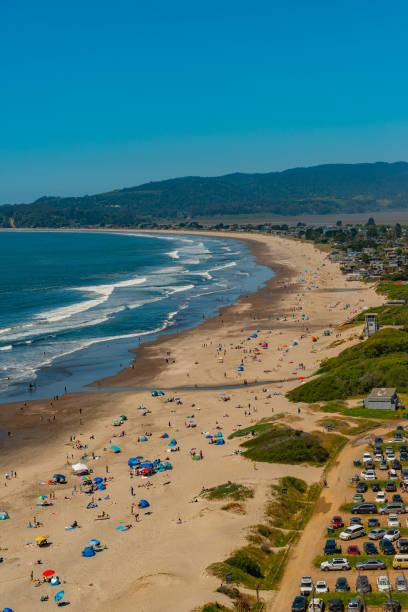 istock People enjoying the beach viewed from above 950292228