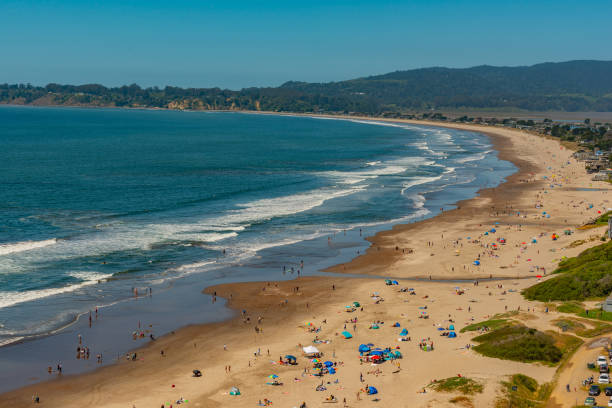 istock People enjoying the beach viewed from above 950292232