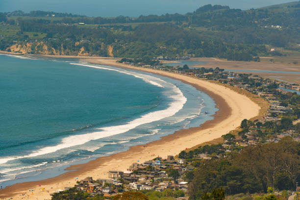 istock People enjoying the beach viewed from above 950292236