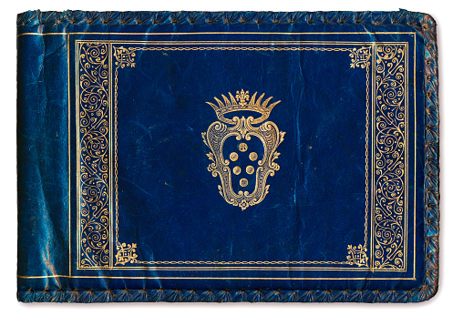 Blue and gold leather book cover