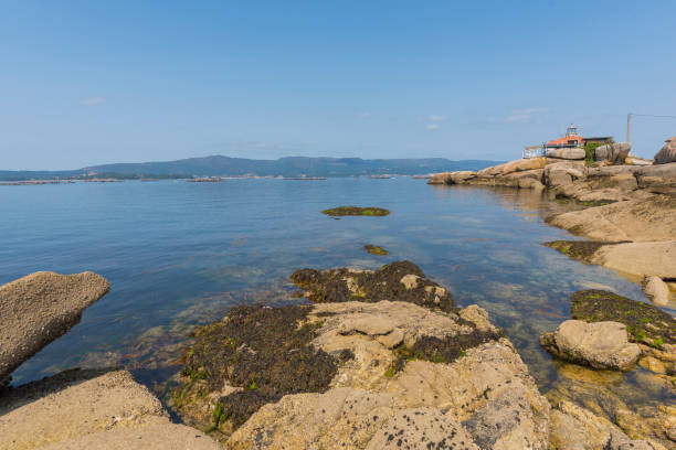 istock Coast of Illa de Arousa (Pontevedra, Spain). 950295330
