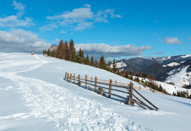 chemin couvert d’hiver matin montagne neige rural - footpath european alps fence woods photos et images de collection