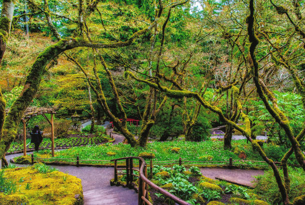 victoria, bc - 9 kwietnia: znak ogrodów rzeźnych w kwietniu 9, 2018 w victoria. butchart gardens to grupa kwiatowych ogrodów wystawowych w victorii i staje się national historic site of canada. - buchart gardens zdjęcia i obrazy z banku zdjęć