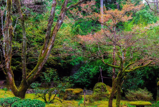 victoria, bc - april 9: the sign of the butchart gardens on april 9, 2018 in victoria. butchart gardens is a group of floral display gardens in victoria and it becomes national historic site of canada. - buchart gardens imagens e fotografias de stock