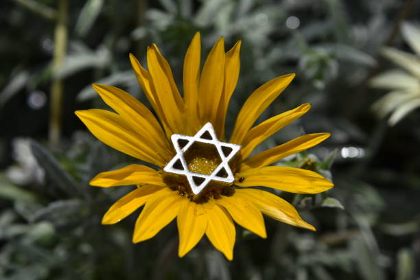 istock Star of David on a flower 950300002