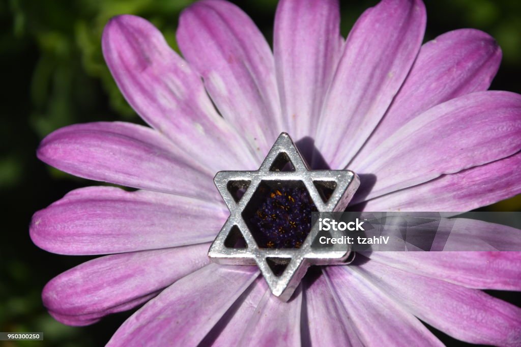 Estrella De David En Una Flor Foto de stock y más banco de imágenes de Estrella de David - Estrella de David, Arte, Colorido - iStock Estrella De David En Una Flor Foto de stock y más banco de imágenes de Estrella de David - Estrella de David, Arte, Colorido - iStock