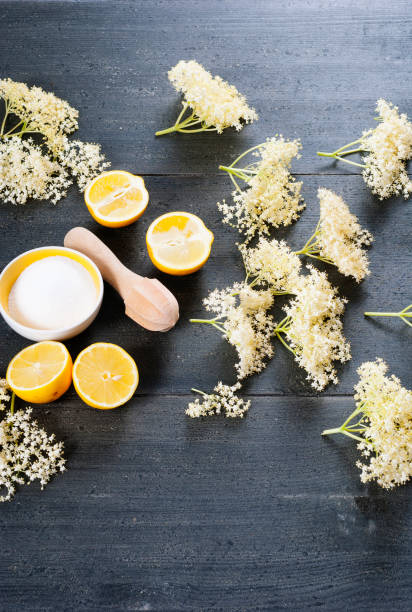 istock Elder blossom arrangement for juice 950300352
