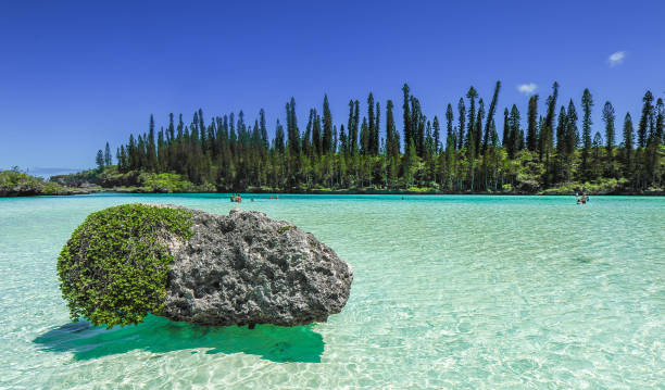 Piscine Naturelle D'Oro, Isle of Pines, New Caledonia View of Piscine Naturelle D'Oro (natural pool) in New Caledonia new caledonia photos stock pictures, royalty-free photos & images