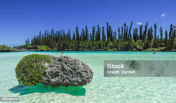 Piscine Naturelle Doro Isle Of Pines New Caledonia Stock Photo - Download Image Now