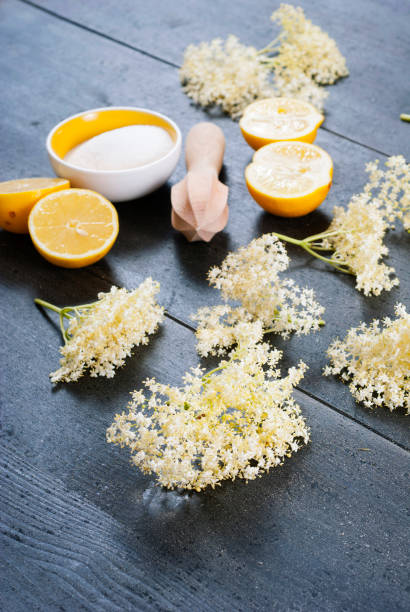istock Elder blossom arrangement for juice 950300878