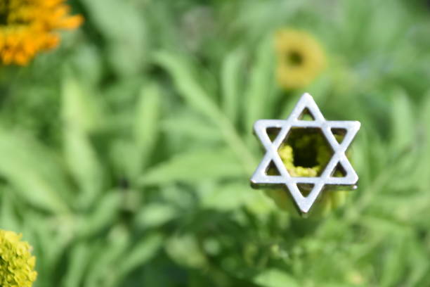 istock Star of David on a flower 950302076