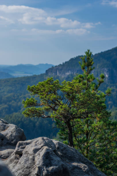 National park "Czech Switzerland" stock photo