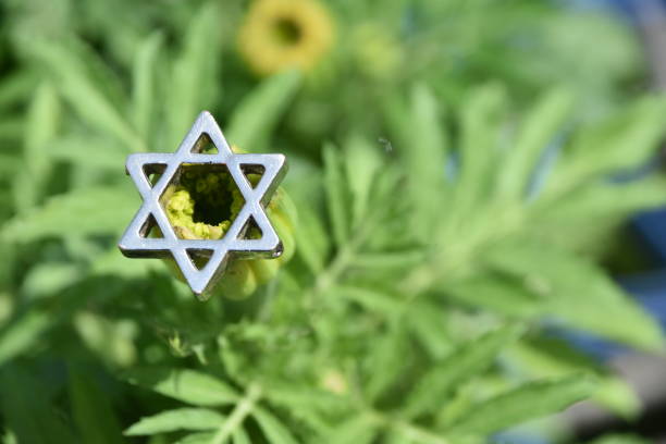 istock Star of David on a flower 950302426