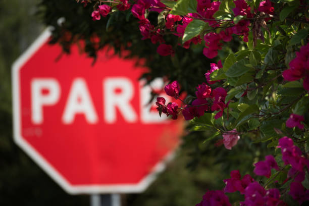 Pare - stop sign in Spanish